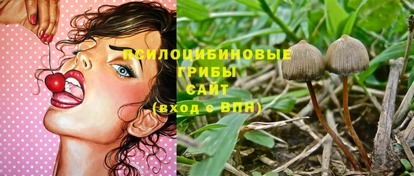 стаф Алексеевка
