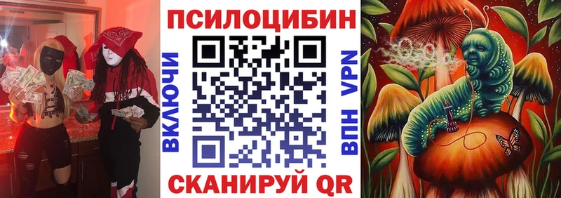 купить наркоту  Пушкино  Галлюциногенные грибы Magic Shrooms 