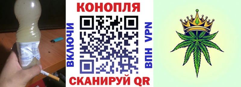 kraken как зайти  Пушкино  Бошки марихуана Ganja 